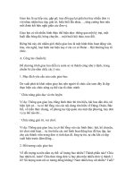 tổ chức giao lưu