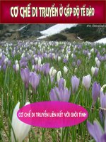 Liên kết với giới tính