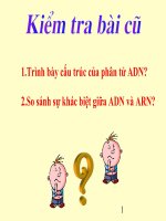 Bài 7: Tế bào nhân sơ