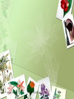 Tiết 8 Tin học 8