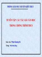 Suu tap Tac gia, tac pham van hoc THCS
