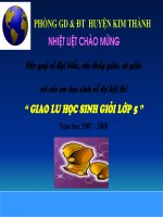 Giao lưu Học sinh gioi lớp 5