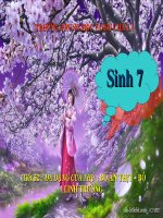 tiết 52-đa dạng của thú (tt)