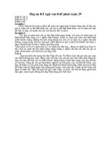 Đáp án kiểm tra văn học 45 phút T29