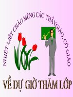 Buc tranh cua em gai toi