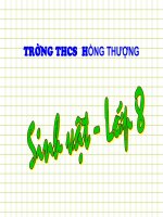 Bài 21 :HOẠT ĐỘNG HÔ HẤP