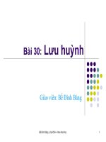 Bai 30: Lưu Huỳnh