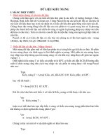 Kieu du lieu co cau truc.doc