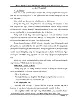 SKKN Giải pt (được)