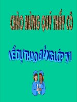 Tiết 58: Chơi chữ