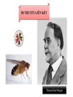 Tiết 30 Hoán vị gen