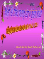 dien tich hinh thang