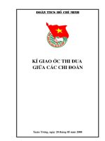 Bìa huy hiệu đoàn