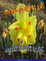 Ô NHIỄM MÔI TRƯỜNG