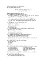 Đề kiểm tra Ngữ văn 11(Nâng cao) - HKII