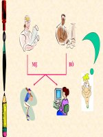 Bài 12: Cơ chế xác minh giới tính