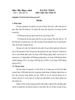 khai niem gennome:he gen nhan va he gen ngoai nhan