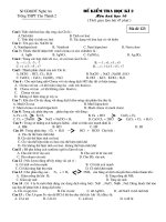 kiem tra hoc ki 2 lop 10