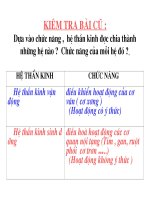 Bài 48: Hệ thần kinh sinh dưỡng