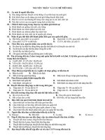 Bộ đề trắc nghiệm luyện thi