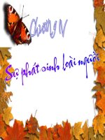 nguồn gốc động vật