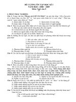 Đề cương ôn tập học kì I Văn 9