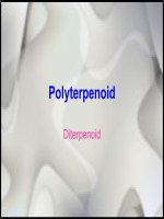 báo cáo hợp chất thiên nhiên 14