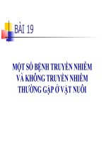 BÀI 22. BENH CUA BO