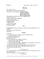 giáo án tuần 20