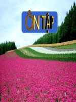 ÔN ÔậP CHƯƠNG III- BIẾN DỊ