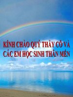 Tiết 23: Tôm sông