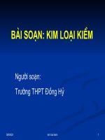T44.Phân nhóm chính nhóm I, kim loại kiềm