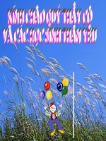 Luyện từ & câu: Bảo vệ môi trường (Bài 26)