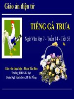 Tiếng gà gáy trưa