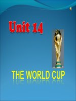 Unit 14 The worldcup