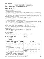 Giáo án 10 cơ bản