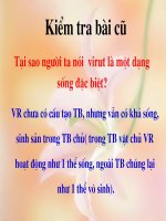 sự nhân lên của virut trong tế bào chủ