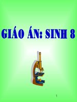 TIÊT 65 THU TINH THU THAI PHAT TRIÊN CỦA THAI