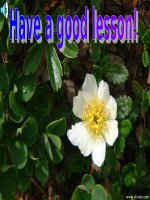 Unit 7: Lesson 5: C1-3/ p.78-80