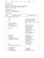 giao an 1 tuan 21 (ha)