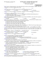 ĐỀ THI THỬ HÓA 12 HKI-ĐM