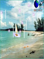 Tiết 39: Lục Vân Tiên cứu Kiều Nguyệt Nga