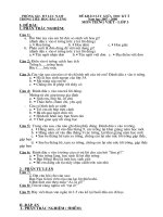 ĐỀ KHẢO SÁT MÔN TIẾNG VIỆT 3.DOC