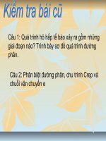 Bai 25hoa tong hop va quanh tong hop