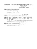 Đề thi HSG Tỉnh_Lớp 10