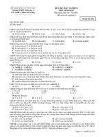 Đề thi Học kỳ I (làm bằng Mc Mic)