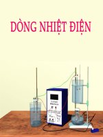 Dòng nhiệt điện
