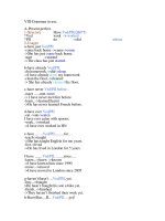 grammar-present perfect