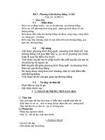 Phuong trinh duong thang Tiet 2