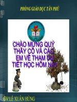 Bài 25: Nhện và sự đang dạng của lớp Hình nhện
